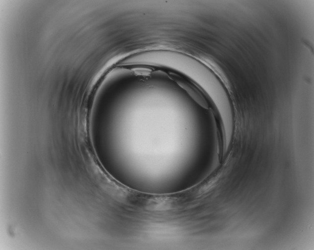 X0000099511000200805151455