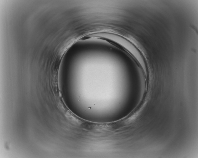 X0000099511001200805151455