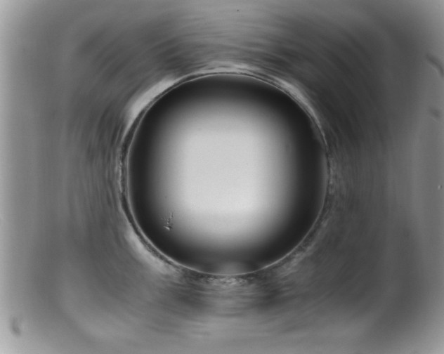 X0000099511003200805151455