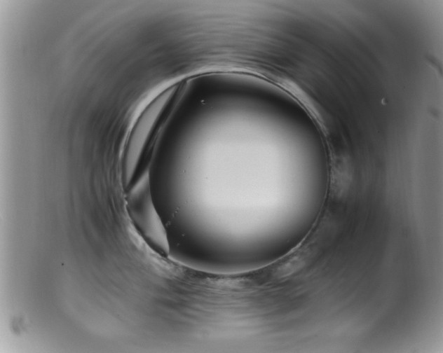 X0000099511004200805151455