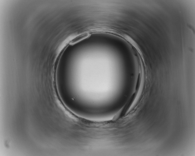 X0000099511005200805151455