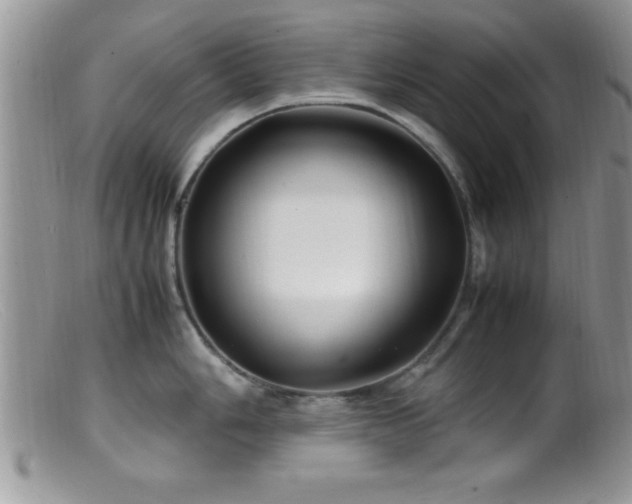 X0000099511006200805151455