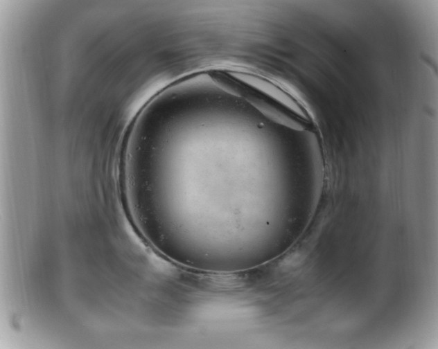 X0000099511007200805151455