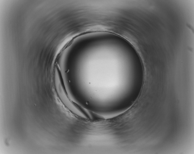 X0000099511008200805151455
