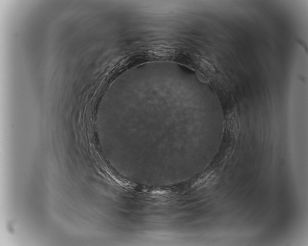 X0000099511009200805151454