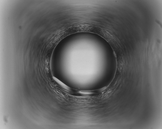 X0000099511010200805151454