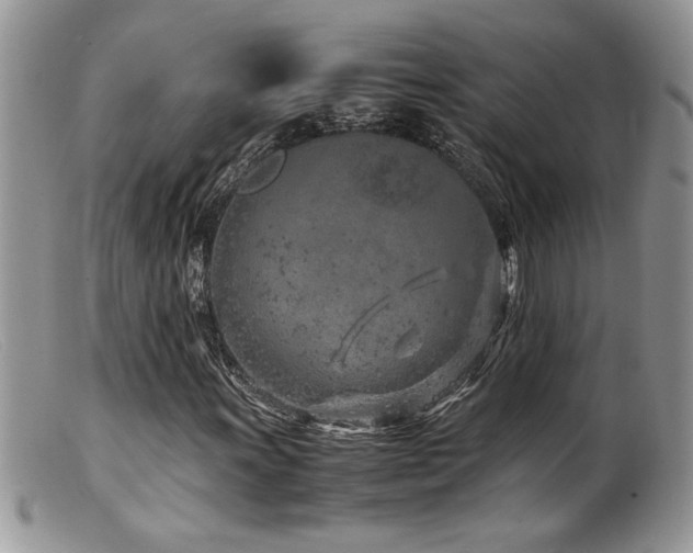 X0000099511011200805151454