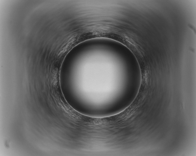 X0000099511012200805151454