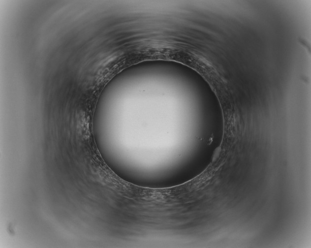 X0000099511013200805151454