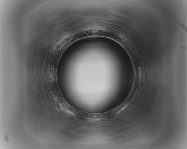 X0000099511014200805151454