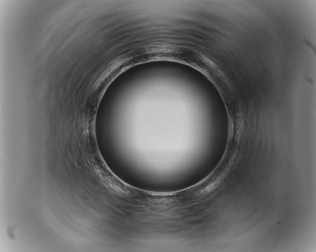 X0000099511017200805151454