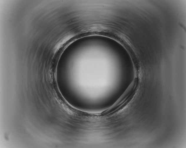 X0000099511018200805151454