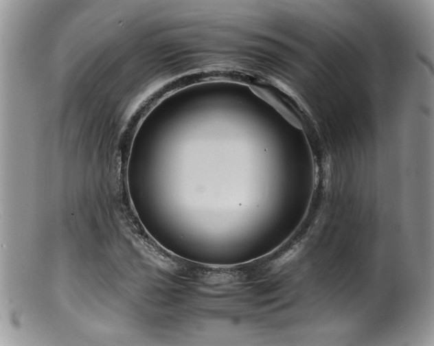 X0000099511021200805151454