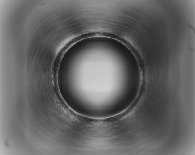 X0000099511022200805151454