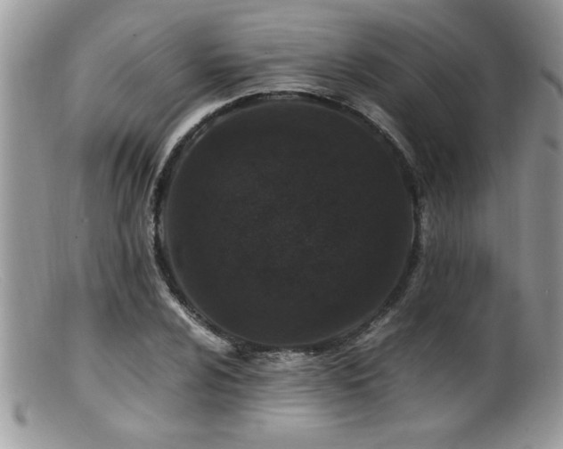 X0000099511024200805151454