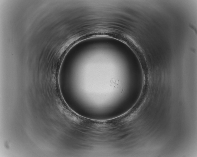 X0000099511025200805151454