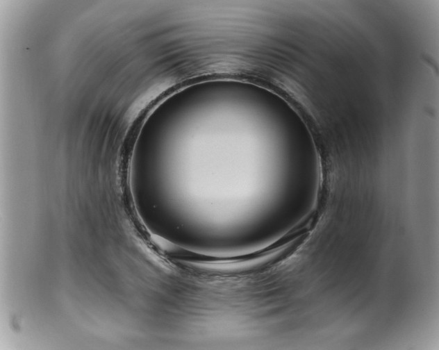 X0000099511026200805151454