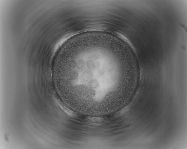 X0000099511027200805151454