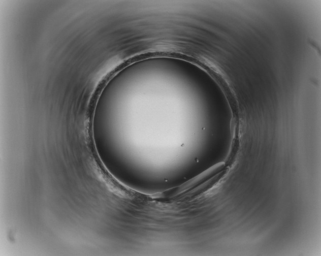 X0000099511029200805151454