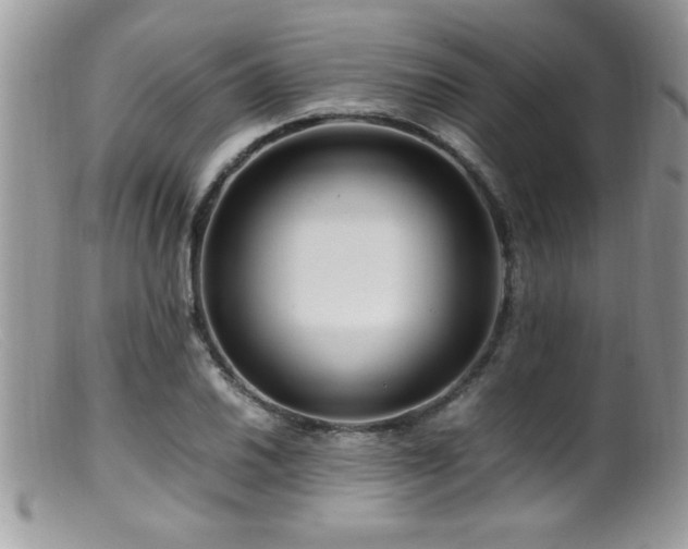 X0000099511030200805151454