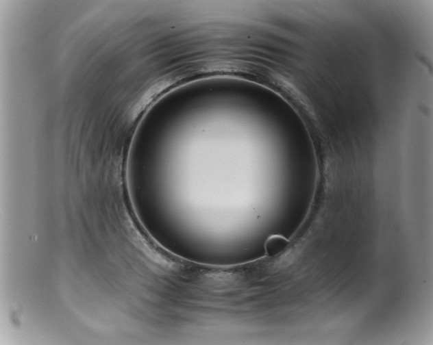 X0000099511033200805151454
