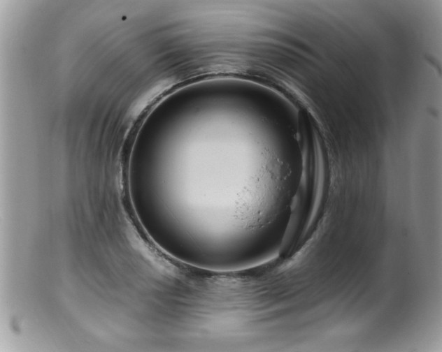 X0000099511034200805151454