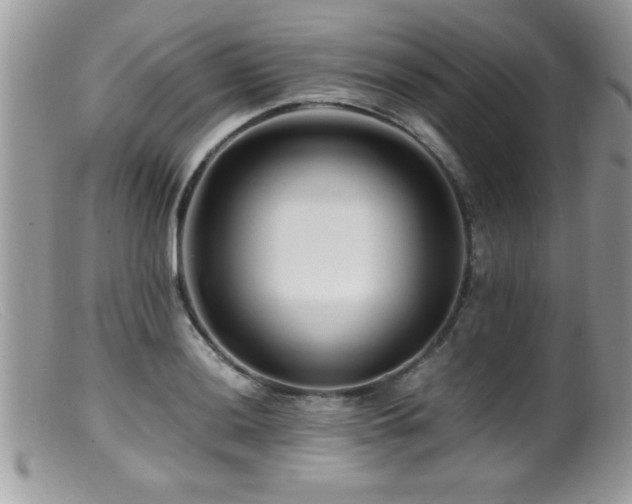 X0000099511036200805151454
