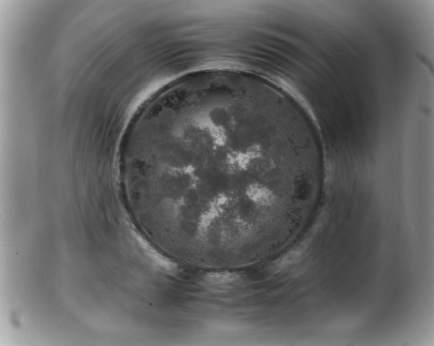 X0000099511037200805151454