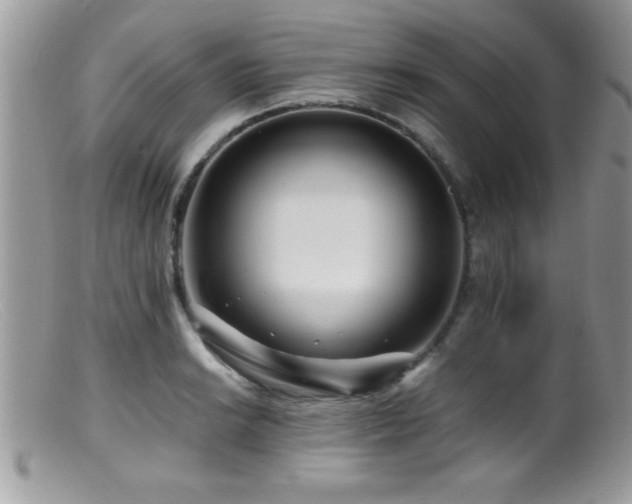 X0000099511038200805151454