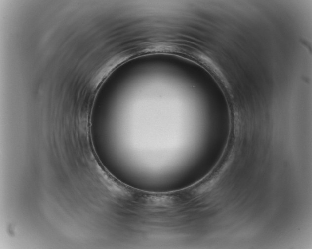 X0000099511041200805151454
