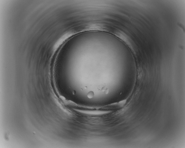 X0000099511043200805151454