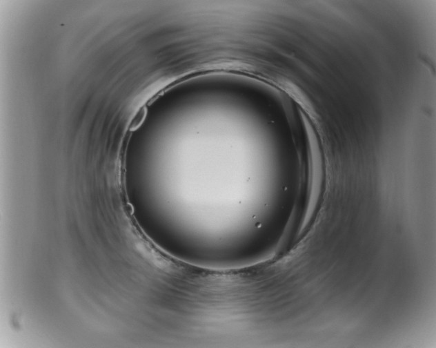 X0000099511044200805151454