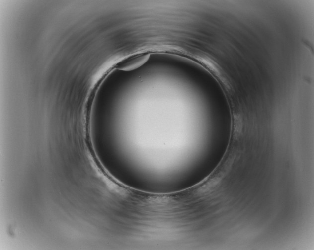 X0000099511046200805151454