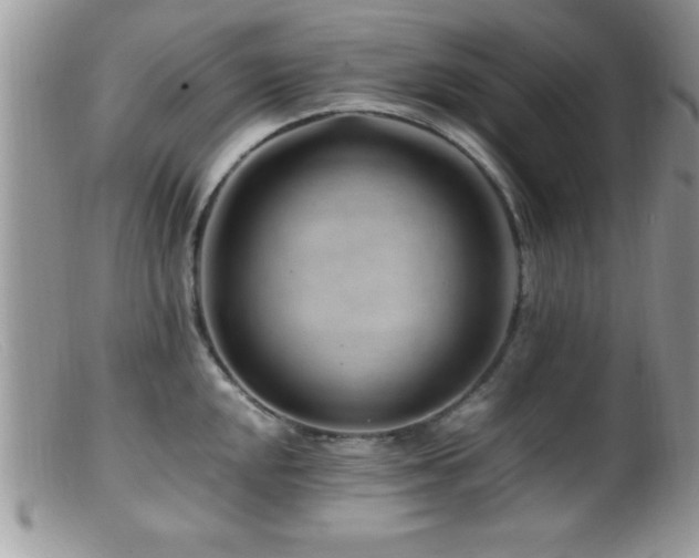 X0000099511048200805151454