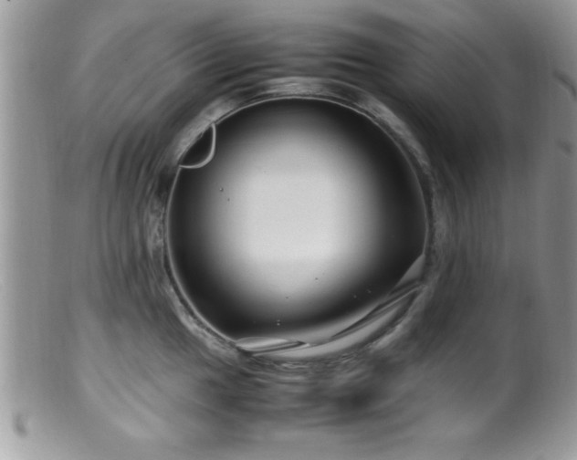 X0000099511049200805151454