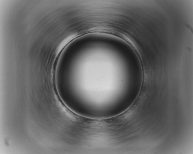 X0000099511050200805151454
