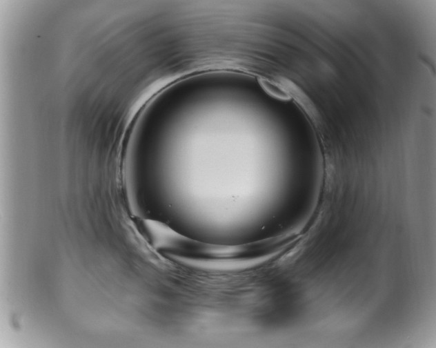 X0000099511052200805151454