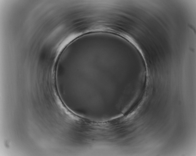 X0000099511053200805151454