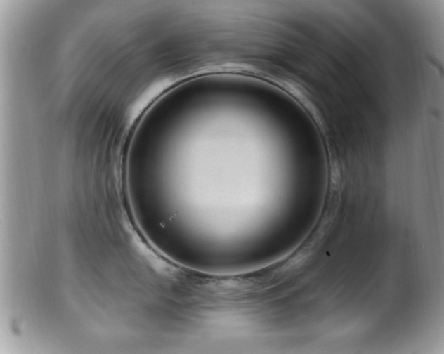 X0000099511054200805151454