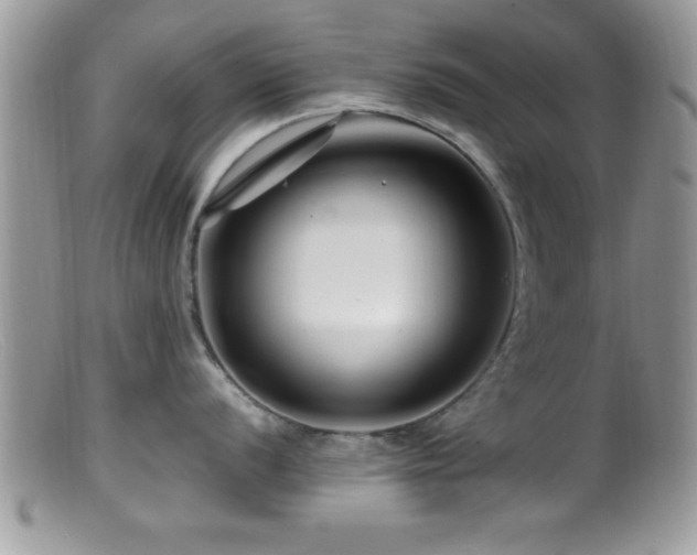 X0000099511056200805151455