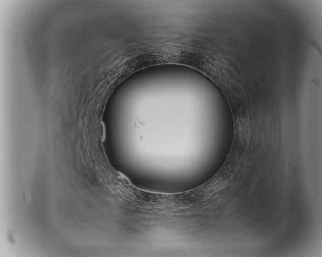 X0000099511057200805151454