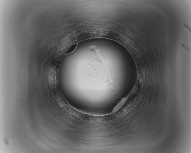 X0000099511058200805151454