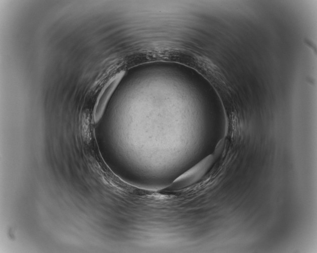 X0000099511060200805151454