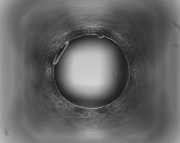 X0000099511061200805151454