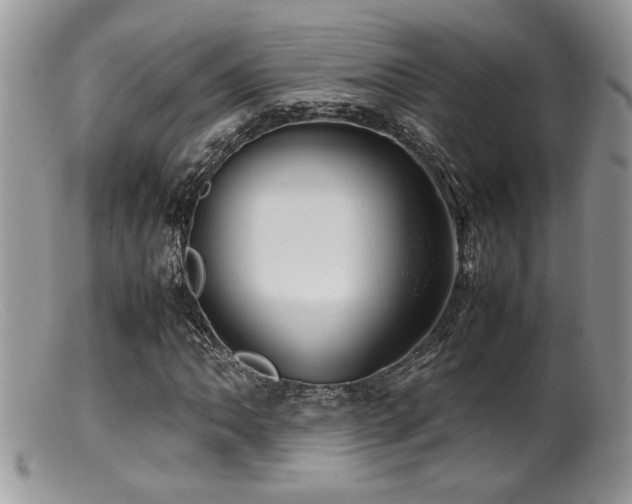 X0000099511062200805151454
