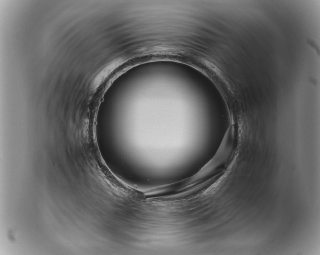 X0000099511066200805151454