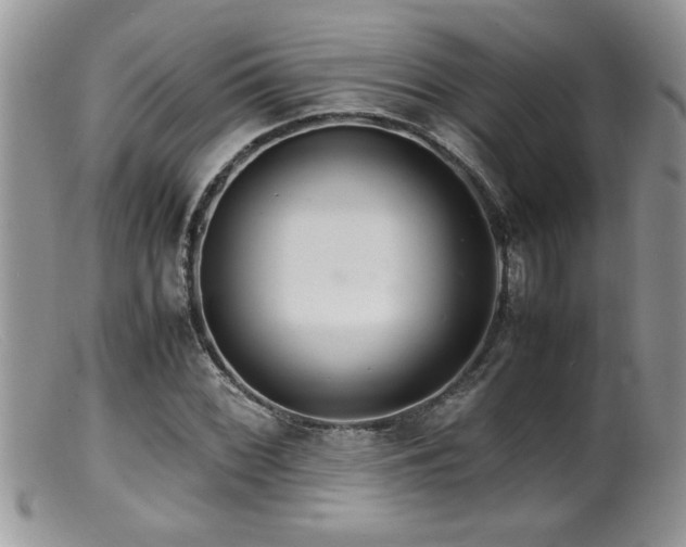 X0000099511068200805151454