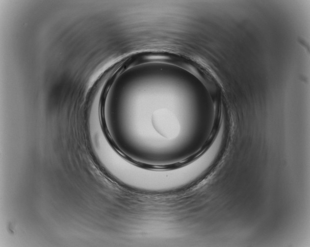 X0000099511069200805151454