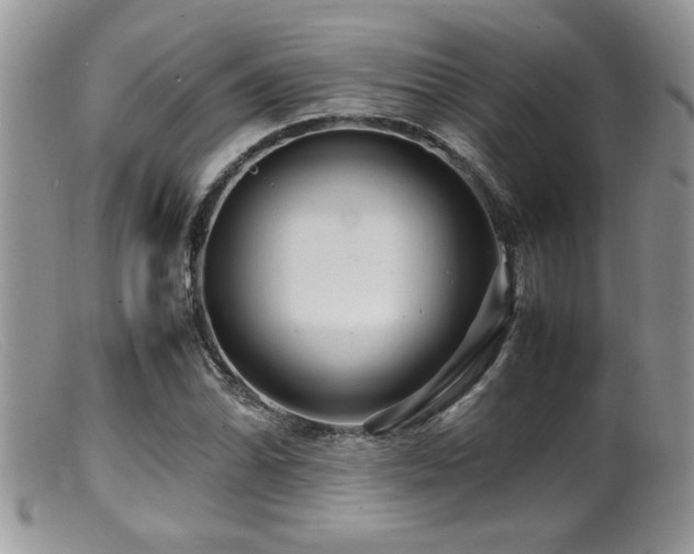 X0000099511070200805151454