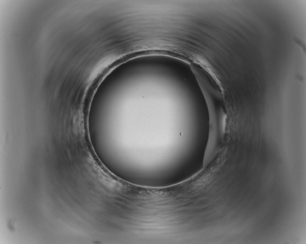 X0000099511072200805151454